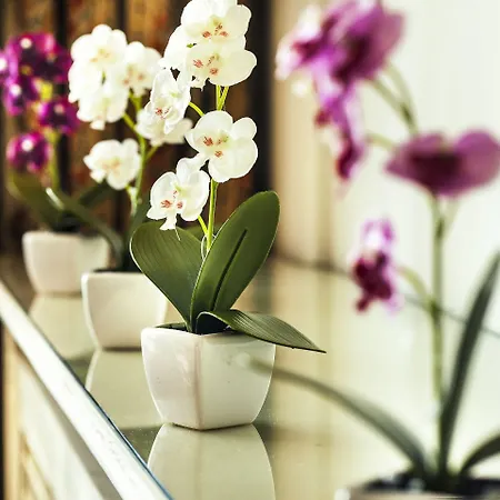 بانوراما 4* سالونيك